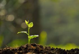 第三方检测机构|土壤检测，取样500g