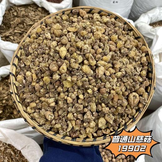 山慈菇 商品图3