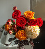 【始于心动】红玫瑰4支+橙色牡丹菊1支+巧克力泡泡多头玫瑰2支+橙色玫瑰2支+红继木5小支 商品缩略图1