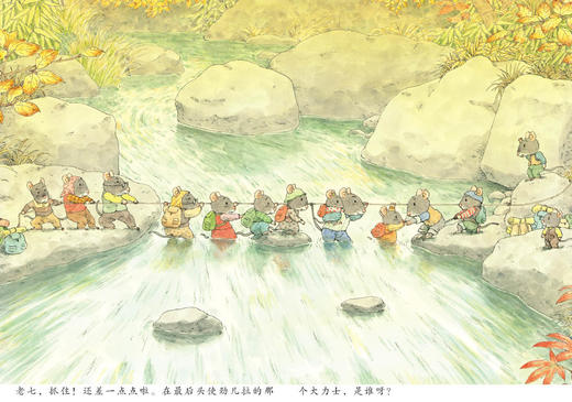 14只老鼠第一辑 1-6册 商品图7