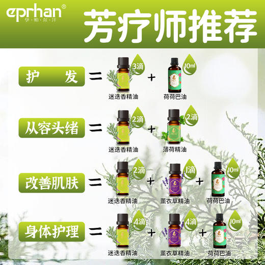 伊帕尔汗迷迭香精油10ml肌肤精油官方旗舰店 商品图3