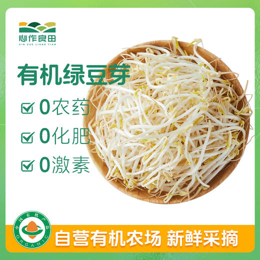 有机绿豆芽200g 商品图0