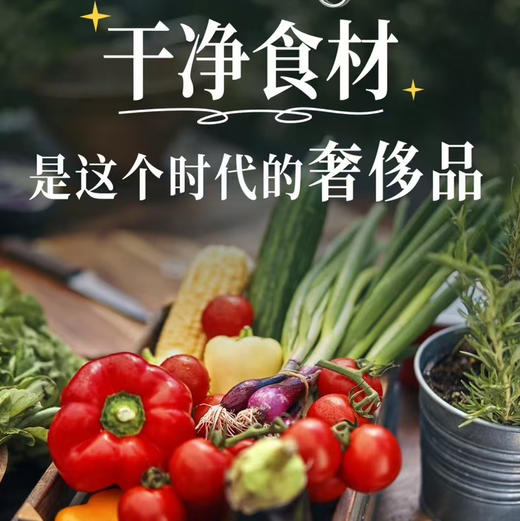 大家期待已久的盒马有机蔬菜，保证有机，可追溯，有国家监督管理委会认可认证的，每一份菜都有有机码！菠菜250克、上海青250克、小白菜250克、芹菜400克，胡萝卜300克 商品图3