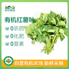 有机红薯叶500克