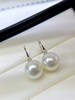10.9mm澳白耳环 商品缩略图3