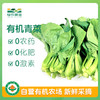 有机青菜500g 商品缩略图0
