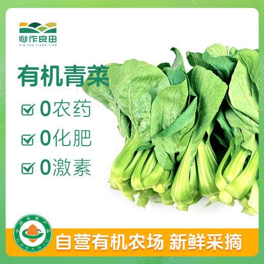 有机青菜500g 商品图0