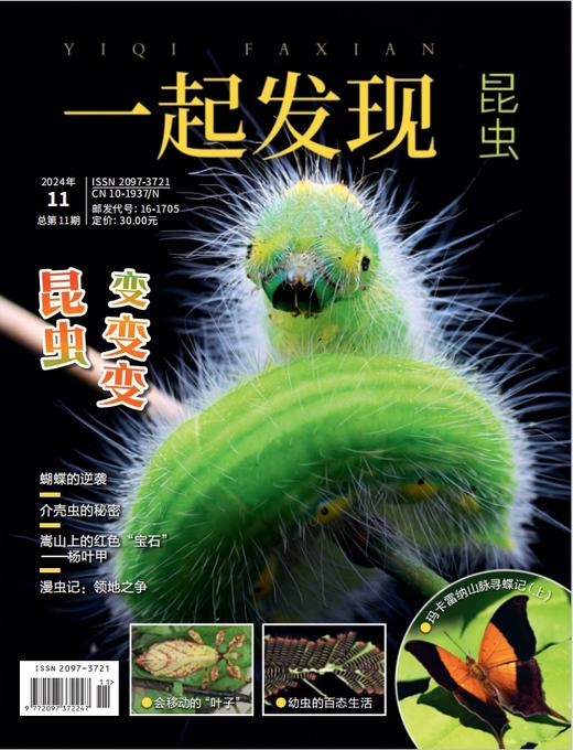 2024年《一起发现》过刊10本一次发出 商品图1