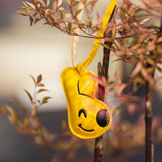 秋冬系列袋鼠团团皮质香挂 商品图1