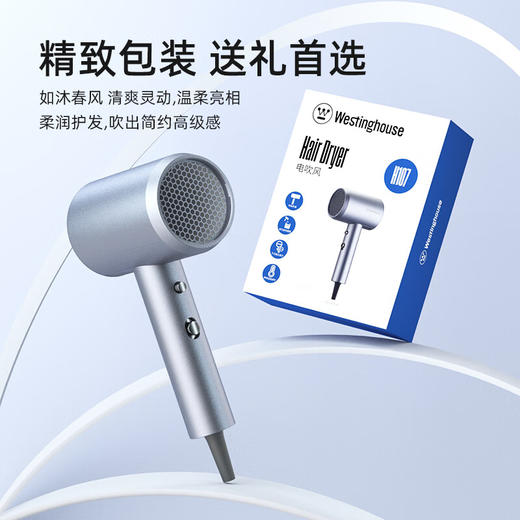 西屋/Westinghouse | 负离子电吹风机 H107 商品图5