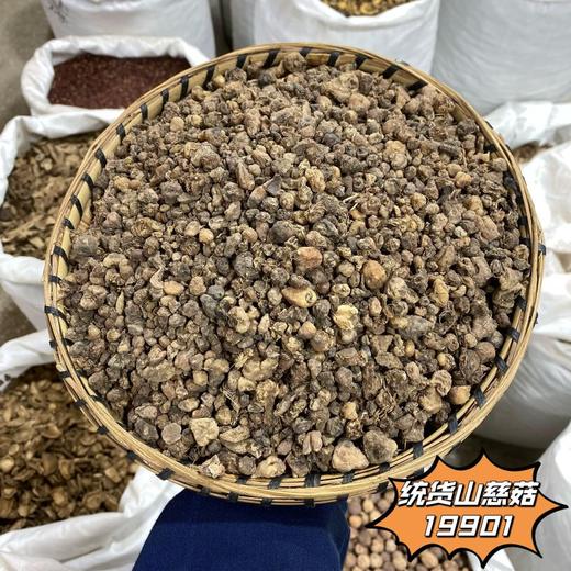 山慈菇 商品图4