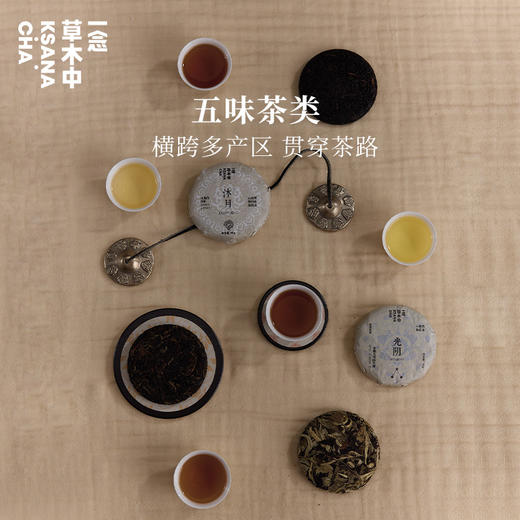 洛神·古树晒红 | 相思·勐海熟普 | 光阴·永德大雪山生普 | 40g/饼 | 行路茶系列 商品图2