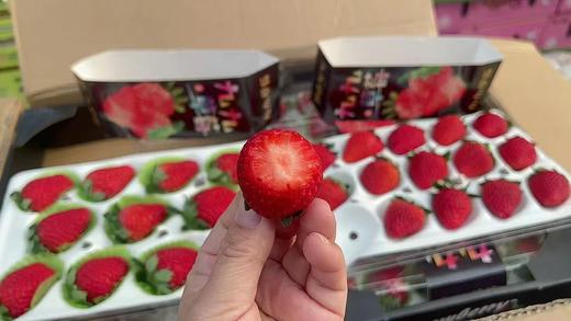 🍓🍓当仁不让的颜值代表【丹东红颜九九草莓】🍓简直太治愈了！草莓香味浓郁，带着淡淡的奶香✅每一颗都来自果农的精心呵护☂️ 只为让你吃上一口安心草莓🍓酸酸甜甜，超级美味😋 商品图10