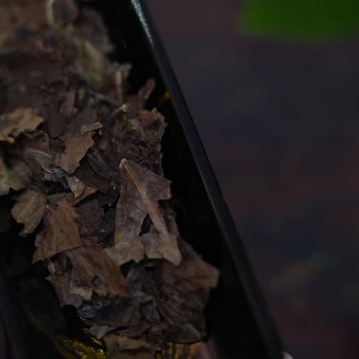 【福熹】2008年老寿眉 商品图4