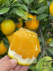 带叶鲜摘，完美酸甜比！【赣南脐橙】核心产区 柔嫩化渣  顺丰/京东发货 商品缩略图2