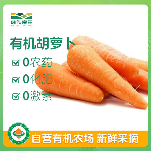 有机胡萝卜400克 商品图0