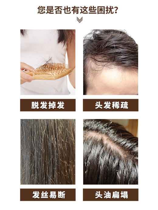 乌元康草本防脱洗发露&乌元康草本润发乳 侧柏叶、生姜、制何首乌、当归等8种草本精华 0香精无硅油洗发露 防脱发、防断发、控油、护发 商品图2