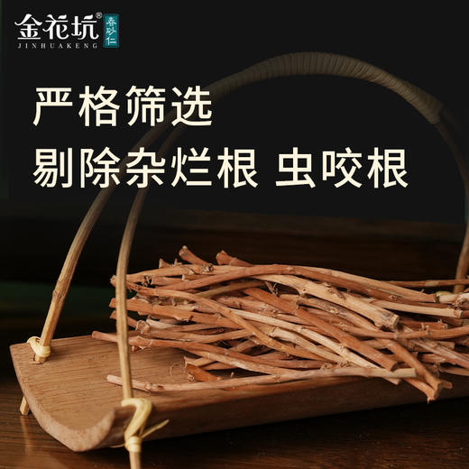 ³加赠8粒B级干果【金花坑春砂仁根100g/罐】可以多煲汤/煮茶喝 XN03-CRMM-CSR 商品图2