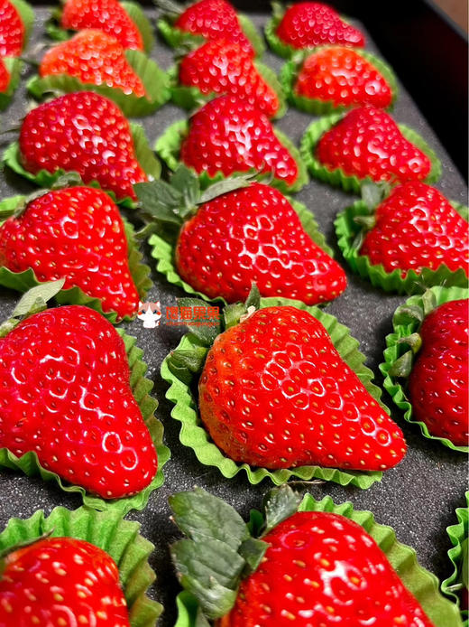 第7年＃有机基地丹东红颜久久，国内仅有的出口有机种植基地，新加坡同步上架，色泽艳丽，口感清甜，草莓味浓郁，优秀的草莓 商品图3