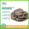 有机平菇（姬菇）150g 商品缩略图0
