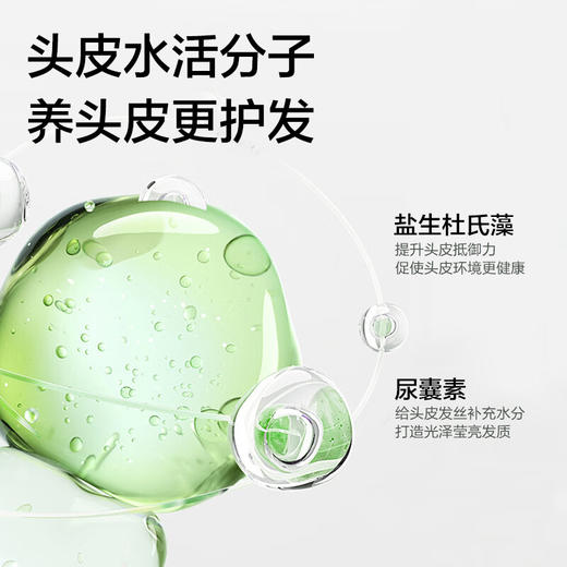 【鼎】柏缇北非雪松控油蓬松洗发露505ml 商品图5