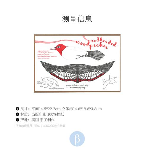 北京仓｜BlackBird LetterPress-Woodpecker-红面使者 立体贺卡［美国设计师］ 商品图6