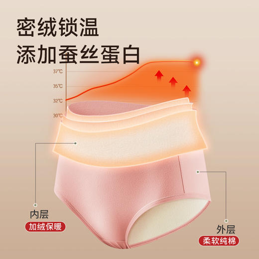 2条49.9元【高腰加绒加厚内裤】女士秋冬季暖宫发热保暖内裤抗菌护腰收腹包屁屁内裤 商品图2