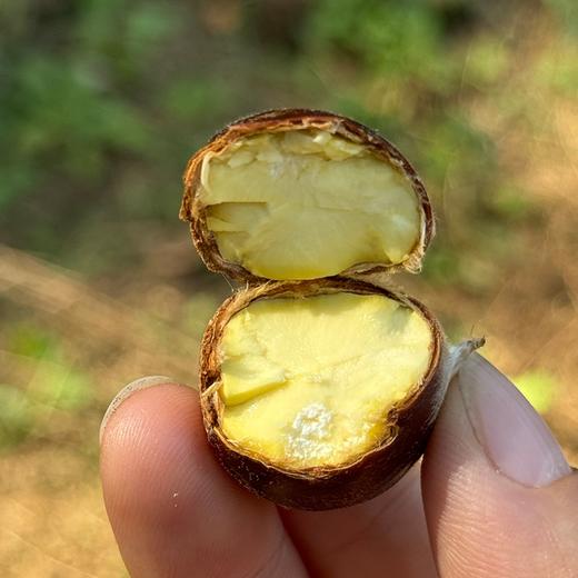 【中通快递】迁西板栗丨正宗迁西鲜板栗，绵软甜糯，蒸烤皆宜，可选开栗器吃起来很方便， 商品图7