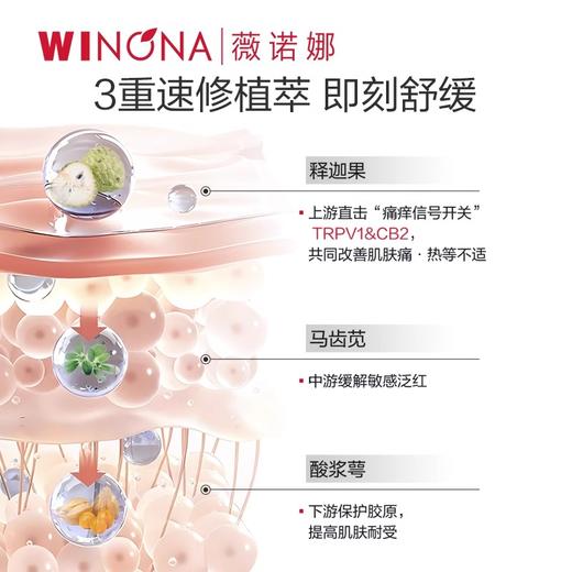 薇诺娜舒缓速修胶原冻干面膜+溶媒液（650mg+20ml）*6片/盒（速修冻干面膜） 商品图2