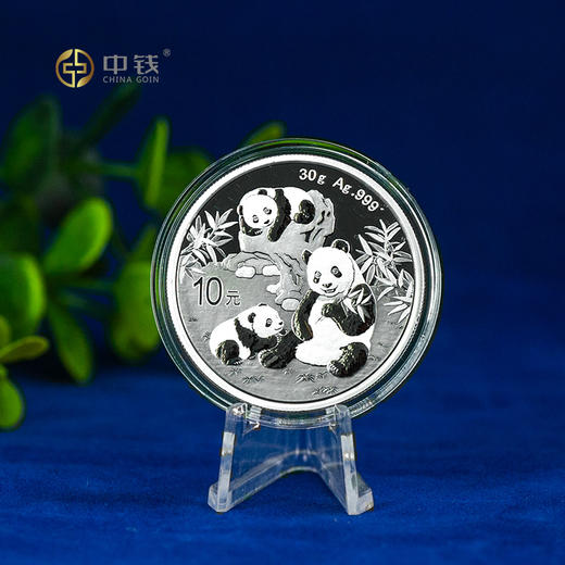 2025年熊猫银币 30克银猫 足银999 单枚 整版 封装评级版 商品图1