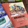 西顿动物小说全集（彩绘版）24册全 中小学语文新课标必读名著 商品缩略图6