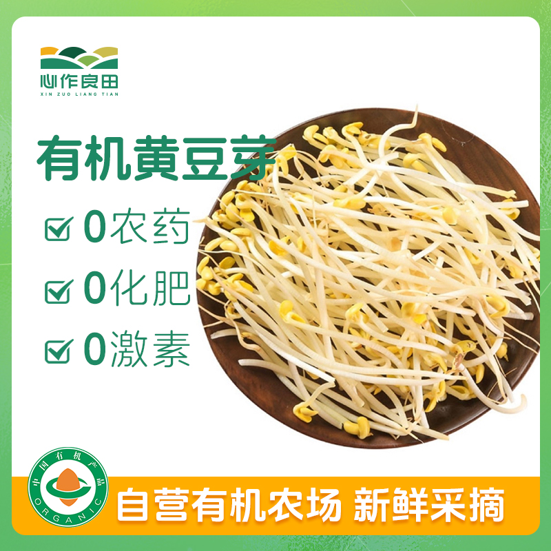 有机黄豆芽200g