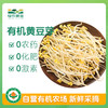 有机黄豆芽200g 商品缩略图0