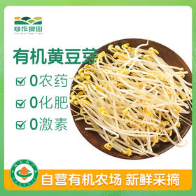有机黄豆芽200g