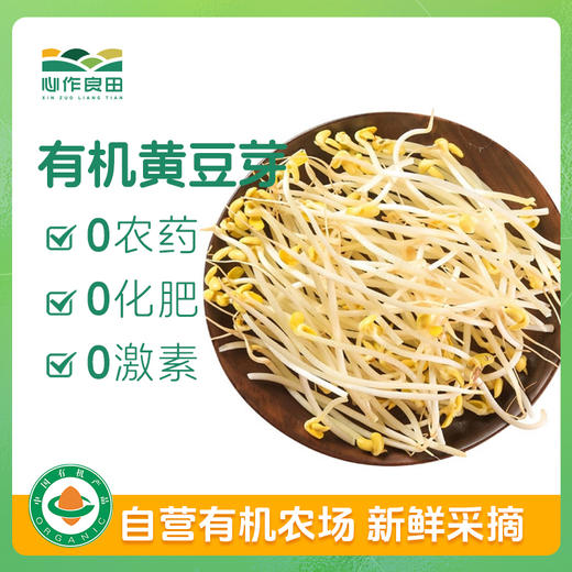 有机黄豆芽200g 商品图0