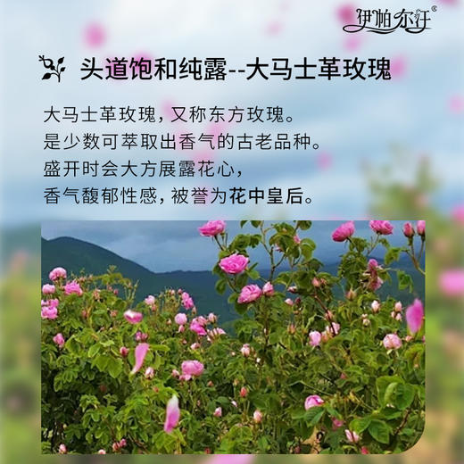 新疆伊帕尔汗大马士革玫瑰花水纯露补水保湿提亮官方旗舰店 商品图3