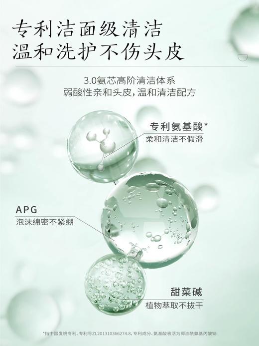 半亩花田氨基酸洗护套装  蓬松控油祛屑，温和洗护不伤头皮 商品图2