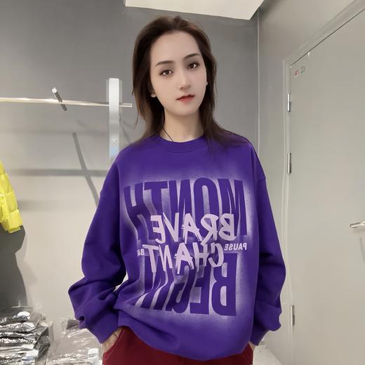 ZB1圆领大字母图案卫衣41005（紫黑） 冬季 944010240321 商品图0