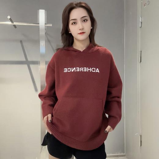 ZB1帽领小图宽松毛织上衣41005 冬季 244010470321 商品图0