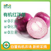 有机红皮洋葱500g 商品缩略图0