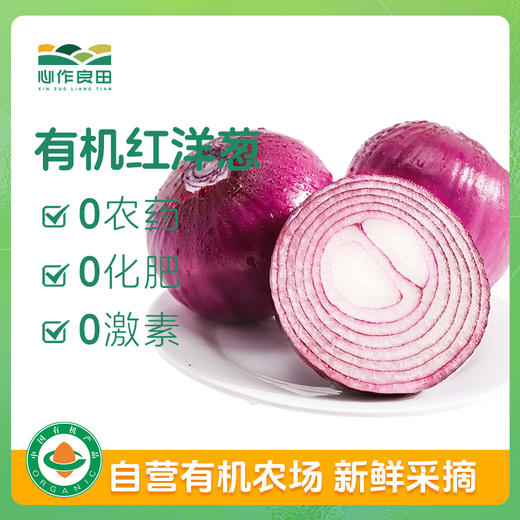有机红皮洋葱500g 商品图0