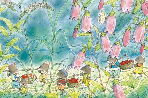 14只老鼠第一辑 1-6册 商品图3