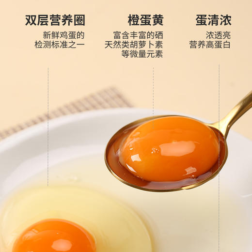 【LZ】好念头始祖黑鸡富硒鸡蛋 顺丰京东随机发货 商品图3