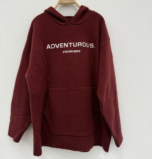 ZB1帽领小图宽松毛织上衣41005 冬季 244010470321 商品图4