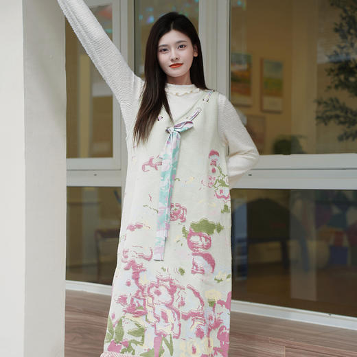 两三事梵高文艺梦中花园2024冬季新款花卉毛巾绣无袖毛衣裙连衣裙 商品图1