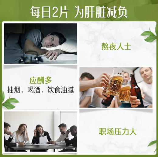 Swisse·奶蓟草护肝片胆碱片高浓度水飞蓟姜黄净化养肝脏进阶调理肠胃120粒 商品图2