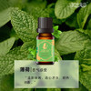 伊帕尔汗薄荷精油 10ml 官方旗舰店 商品缩略图1