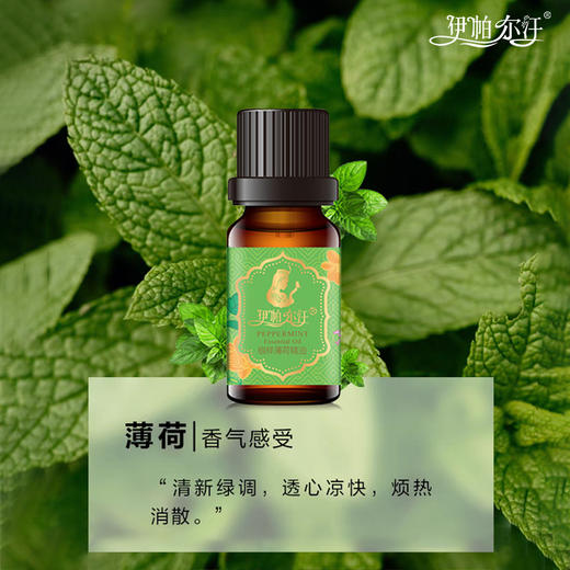 伊帕尔汗薄荷精油 10ml 官方旗舰店 商品图1