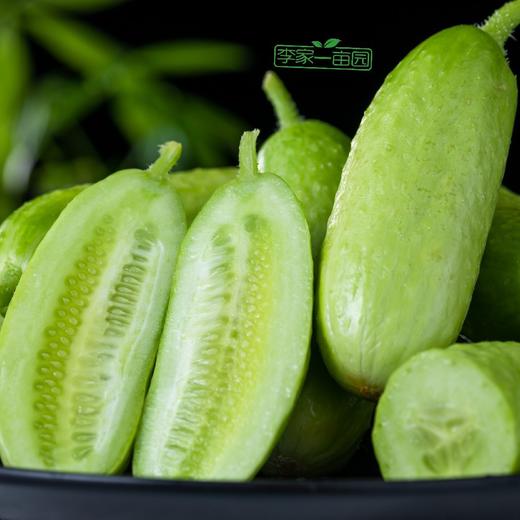 李家一亩田&奶油玉翠水嫩小黄瓜 ，黄瓜味道超浓，不苦不涩 ，脆嫩爽口，净重约3斤 商品图4