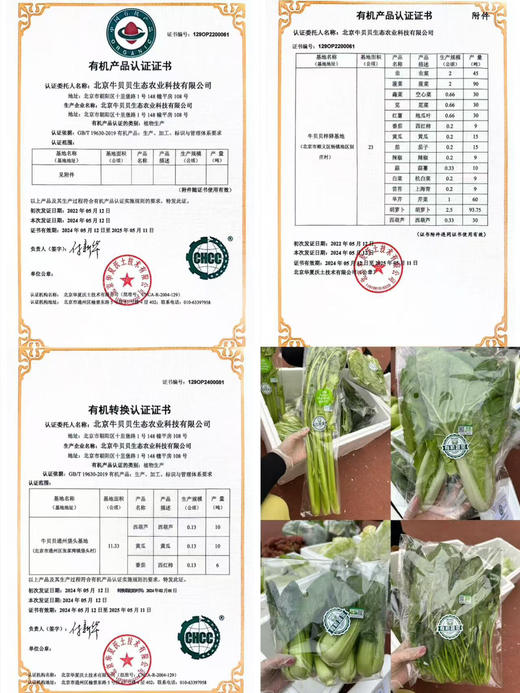 大家期待已久的盒马有机蔬菜，保证有机，可追溯，有国家监督管理委会认可认证的，每一份菜都有有机码！菠菜250克、上海青250克、小白菜250克、芹菜400克，胡萝卜300克 商品图4